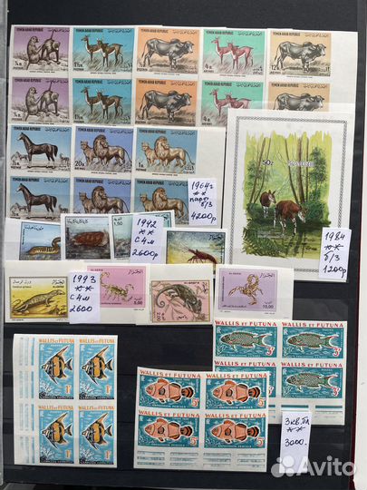 Флора фауна