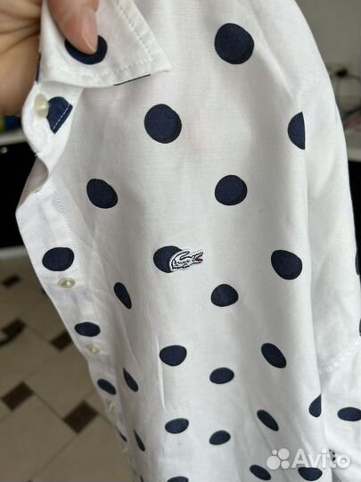 Lacoste, mark spenser