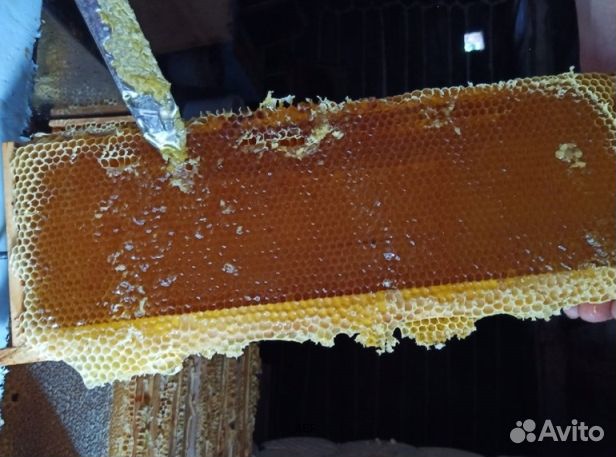 Мёд 2024 года натуральный оптом