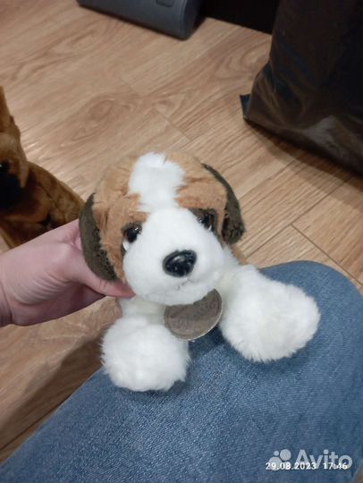 Собаки мягкие