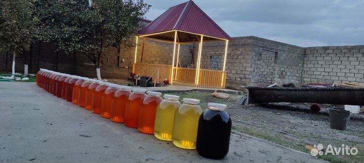 Мёд(Мед) оптом