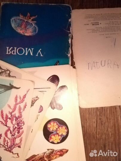 Открытки СССР