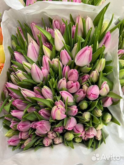 Тюльпаны на 8 марта букет