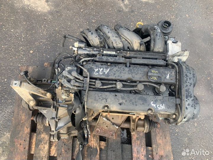 Двигатель Ford Focus 2 shda 2009