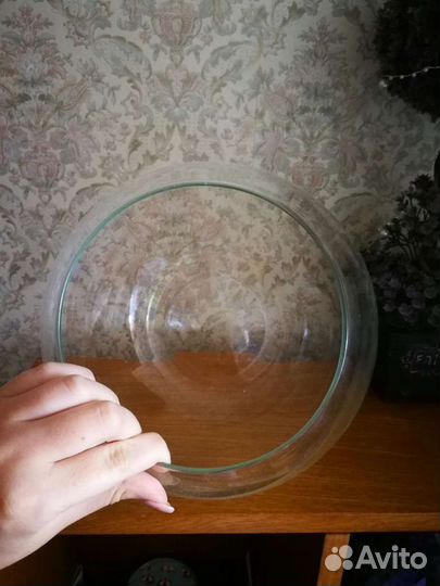 Ваза круглая стеклянная для суккулентов d23 см