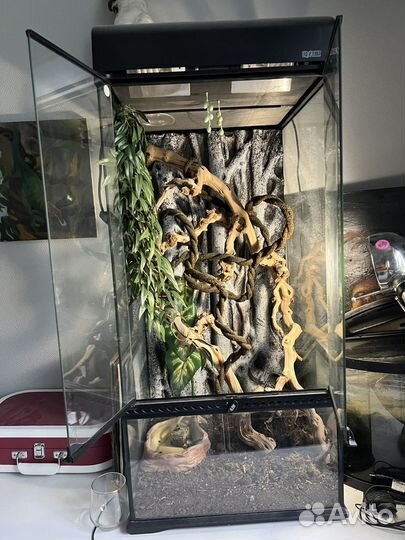 Флорариум хабитат террариум для хамелеона