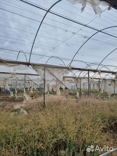 Теплица промышленная бу