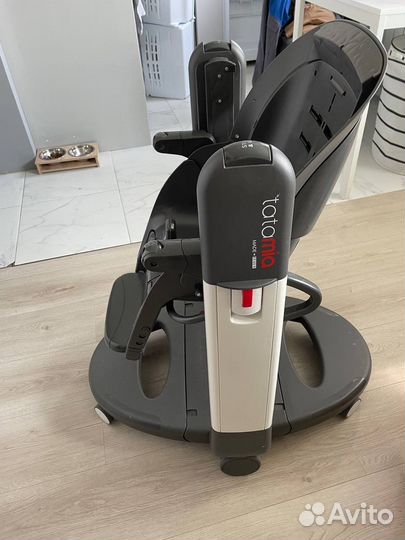 Стульчик для кормления peg perego tatamia