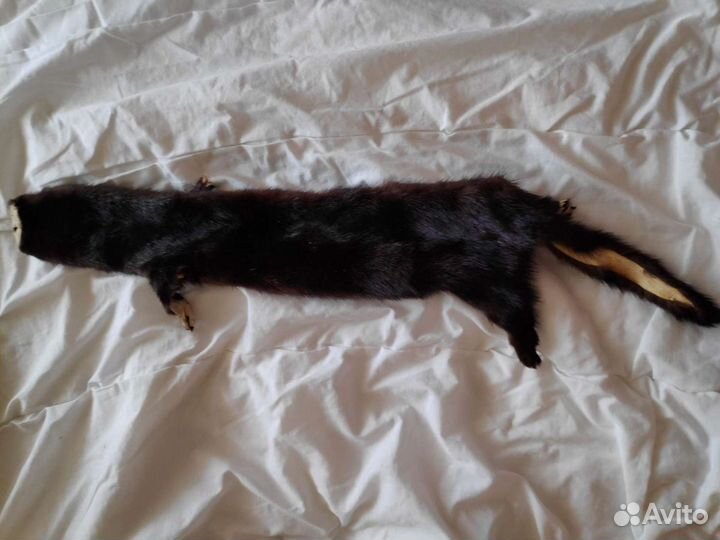 Шкурка норки, СССР