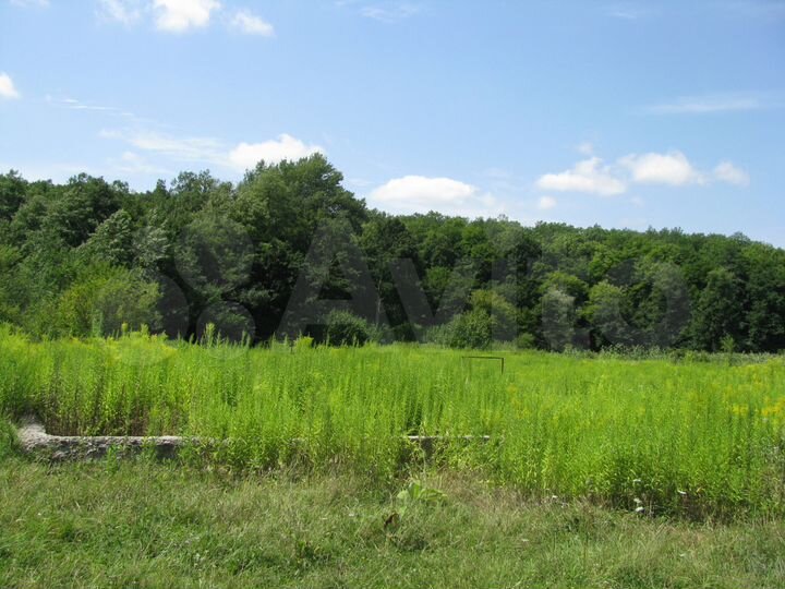 Участок 15 сот. (ИЖС)