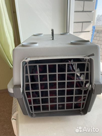 Переноска для кошек пластиковая