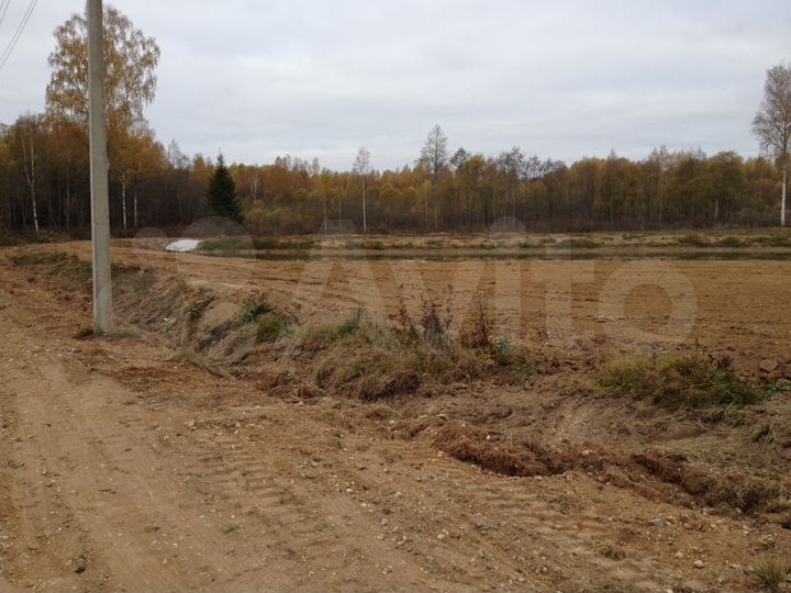 Участок 60 сот. (СНТ, ДНП)