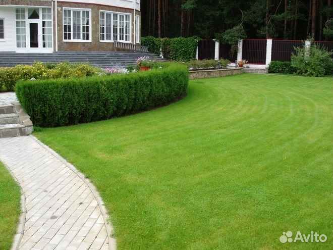 Укладка газона