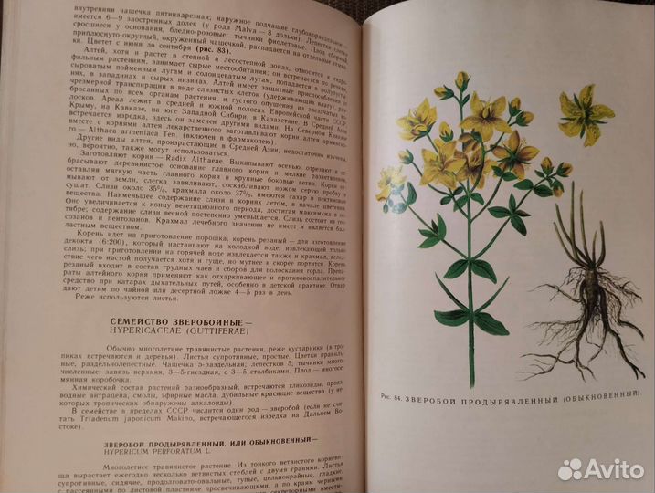 Книги, здоровье, медицина