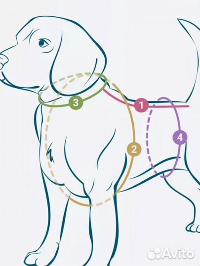 Комбинезон для собак средних пород, зимний, самец