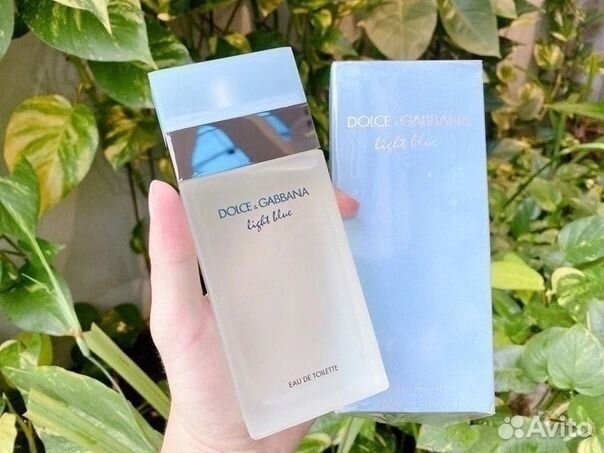 Dolce gabbana light blue