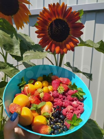 Дача 20 м² на участке 6,8 сот.