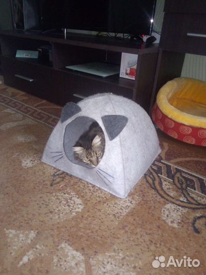 Домик для кошки