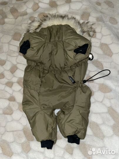 Зимний костюм для собак (девочка)