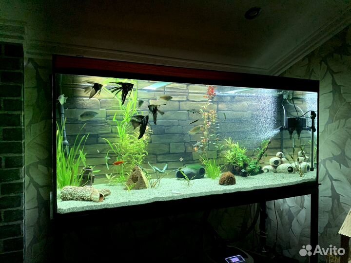 Аквариум с тумбой 400 литров