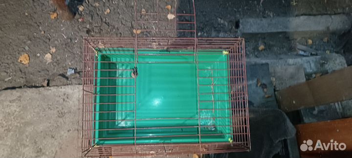 Клетка для грызунов большая