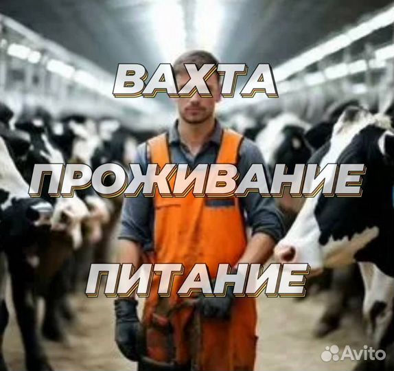 Телятник/Вахта/Воронеж