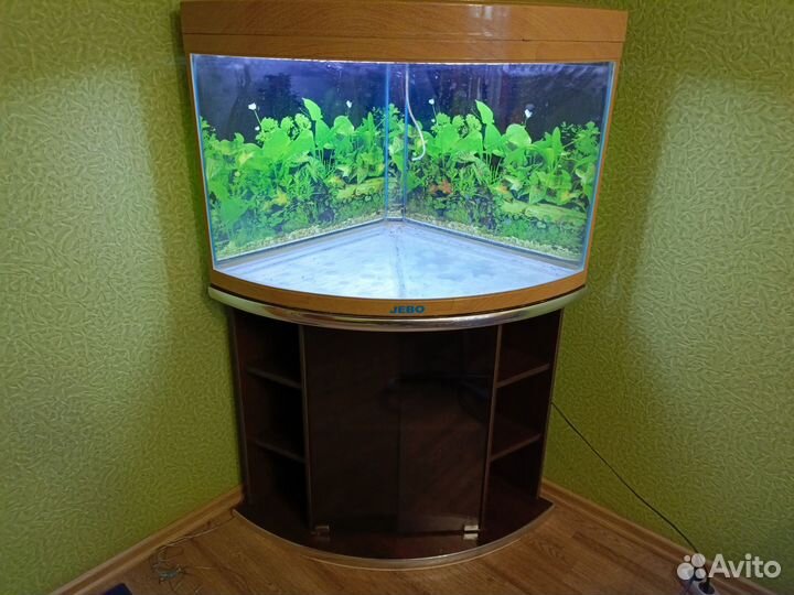 Аквариум