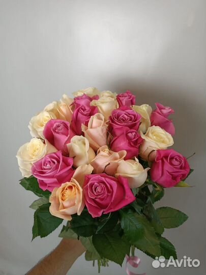 Букет 15 роз. Розы Голландия Цветы доставка