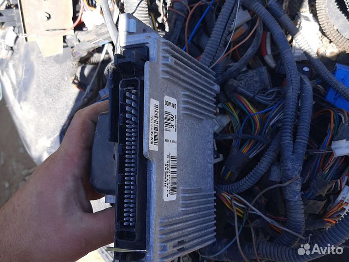 Эбу мазги деу матиз