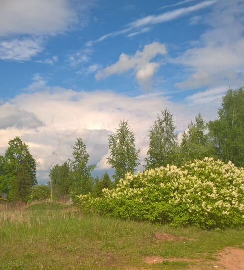 Участок 11 сот. (ИЖС)