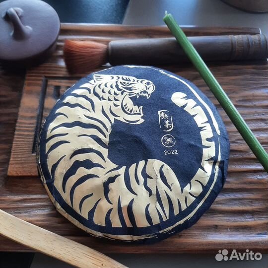 Тигр 2021 год