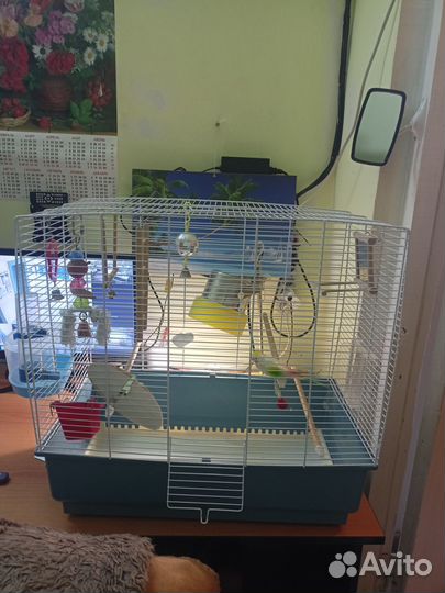 Клетка для попугая