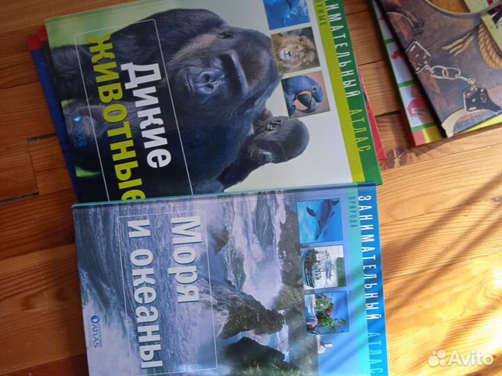 Познавательные развивающие книги