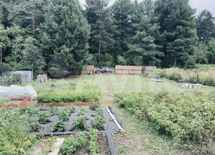 Участок 6,5 сот. (СНТ, ДНП)