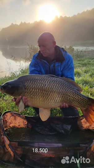 Прикормка для рыбалки, без выходных