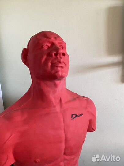 Манекен для бокса герман