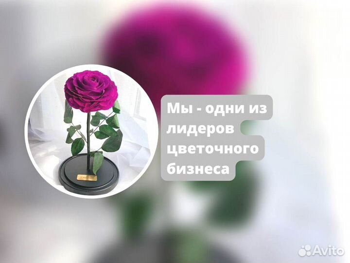 Розы в колбе разные