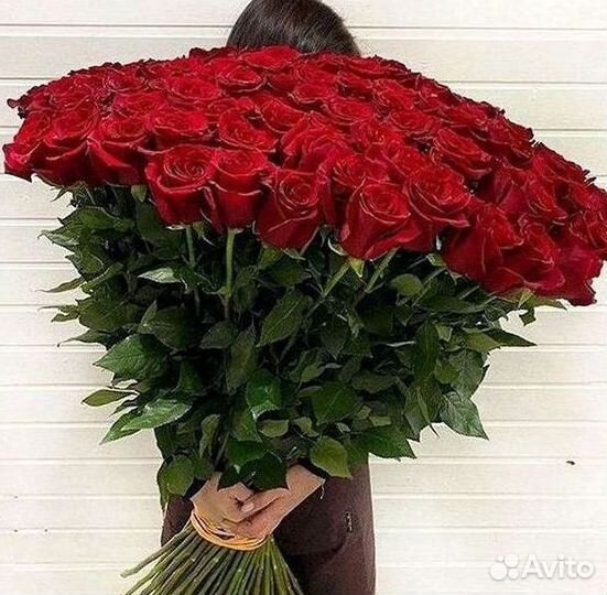 Розы Эквадор Метровые 100 см доставка Москва