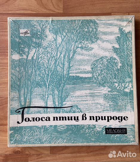 Виниловые пластинки