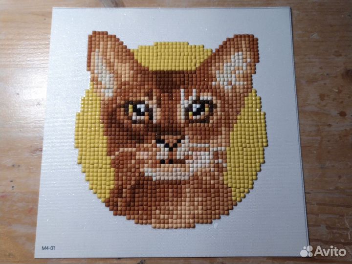 Картинки котиков разных пород