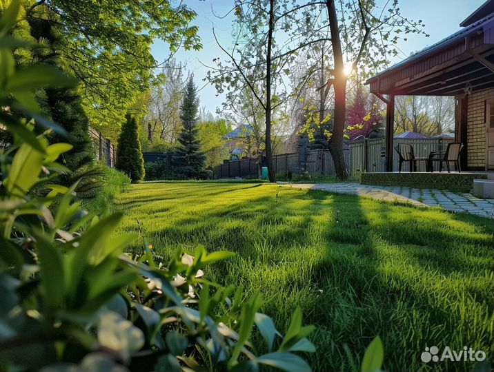 Газон рулонный с поля