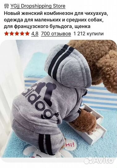 Костюм для собаки