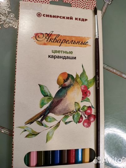 Акварельные карандаши