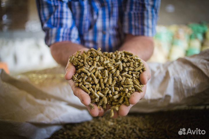 Корм для кур, свиней, коров, кроликов, овец опт