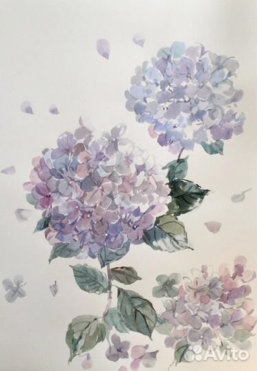 Картина акварель цветы «В лепестках гортензий»