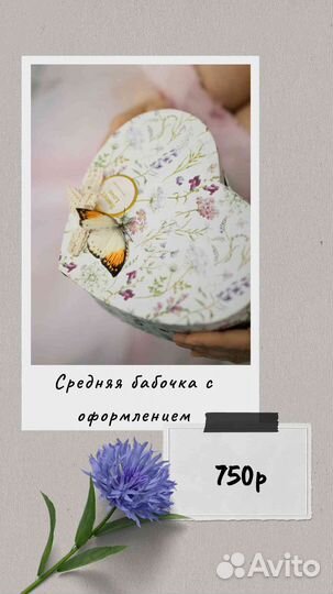 Живые бабочки в подарок