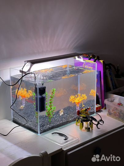 Аквариум