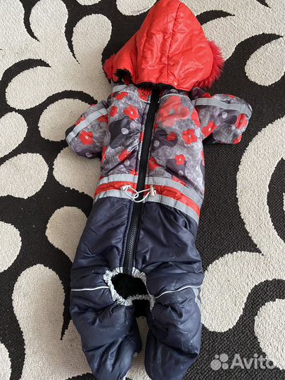 Одежда для маленьких пород собак