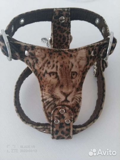 Шлейка для маленькой собаки, кожа