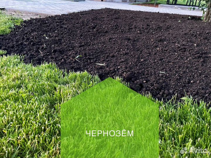 Ч Е Р Н О З Ё М